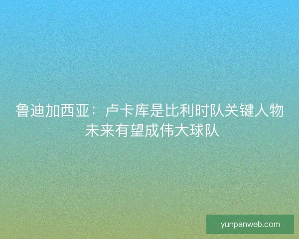 鲁迪加西亚:卢卡库是比利时队关键人物 未来有望成伟大球队 鲁迪加西亚:卢卡库是比利时队关键人物 未来有望成伟大球队